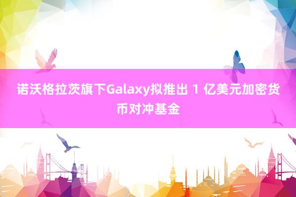 诺沃格拉茨旗下Galaxy拟推出 1 亿美元加密货币对冲基金
