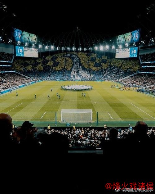 英超主场虫,热刺欧冠主场全胜 英超主场虫,热刺欧冠主场全胜